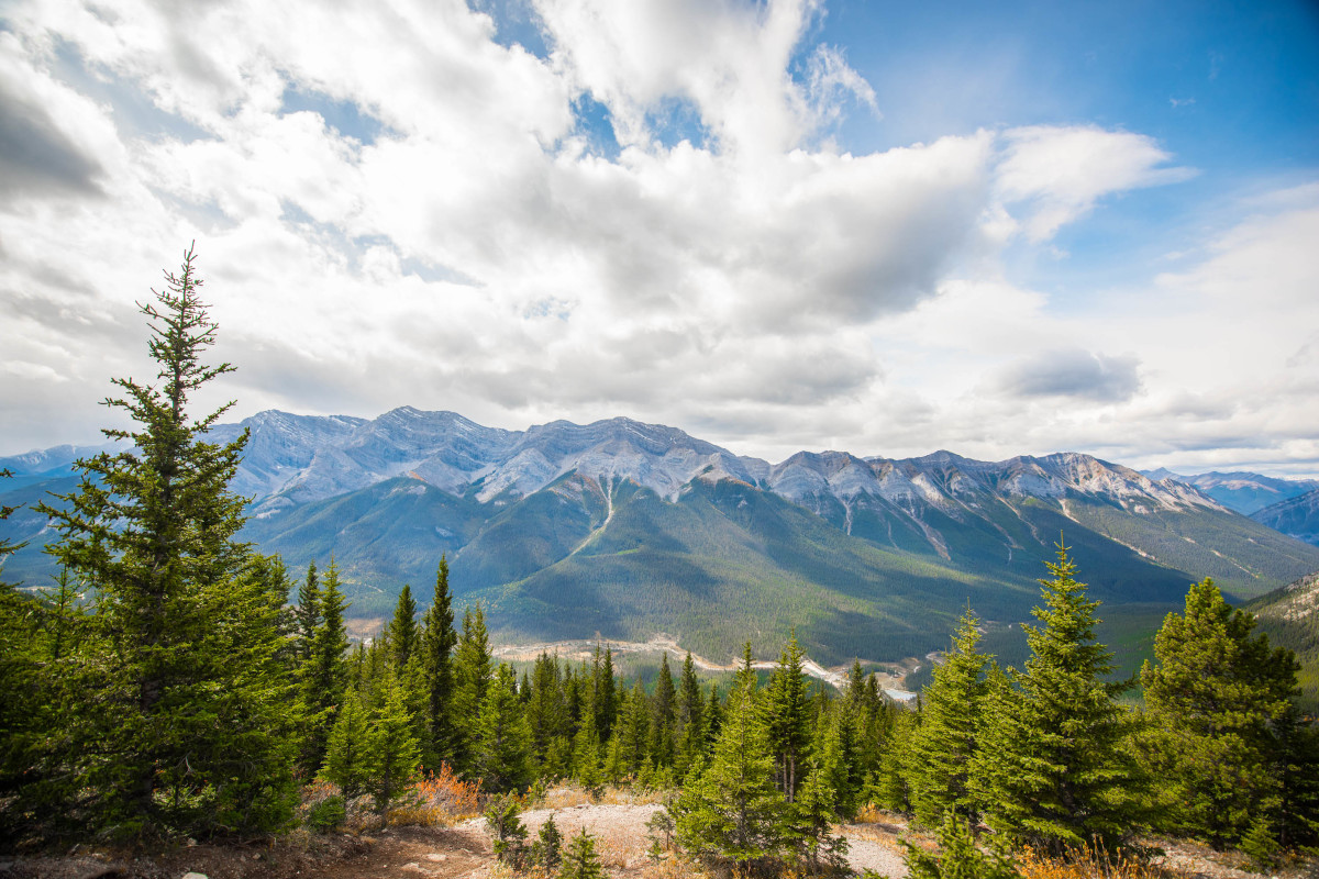 banff-trail.jpg